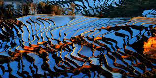 Duoyishu Rice Terraces 